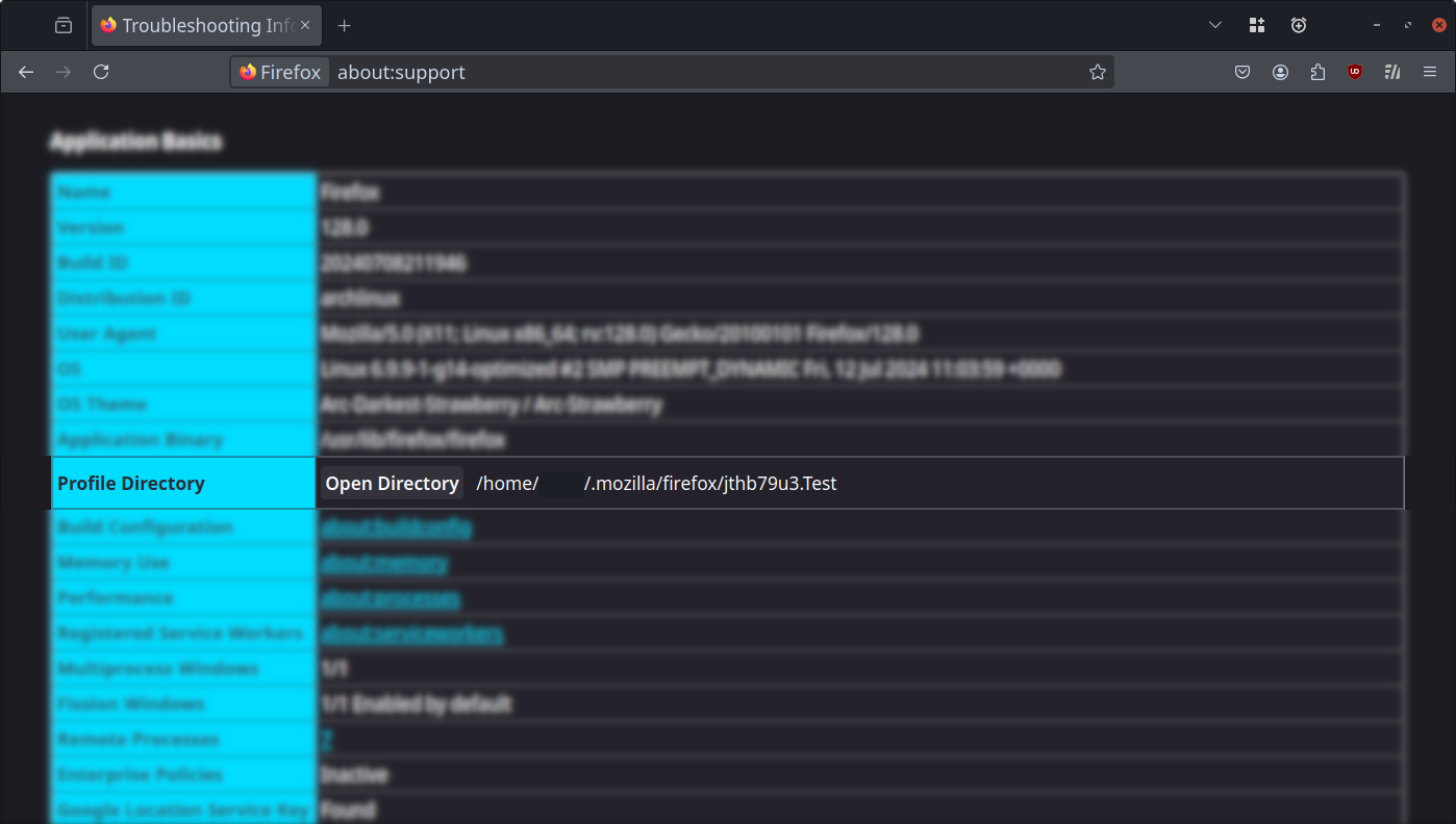 Firefox about:support tab