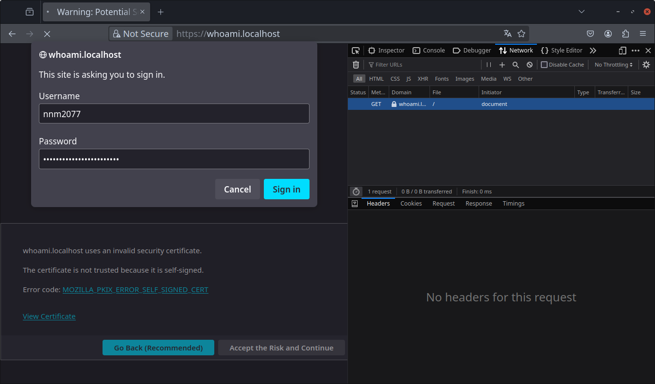 password request dialogue, I already filled login and password in